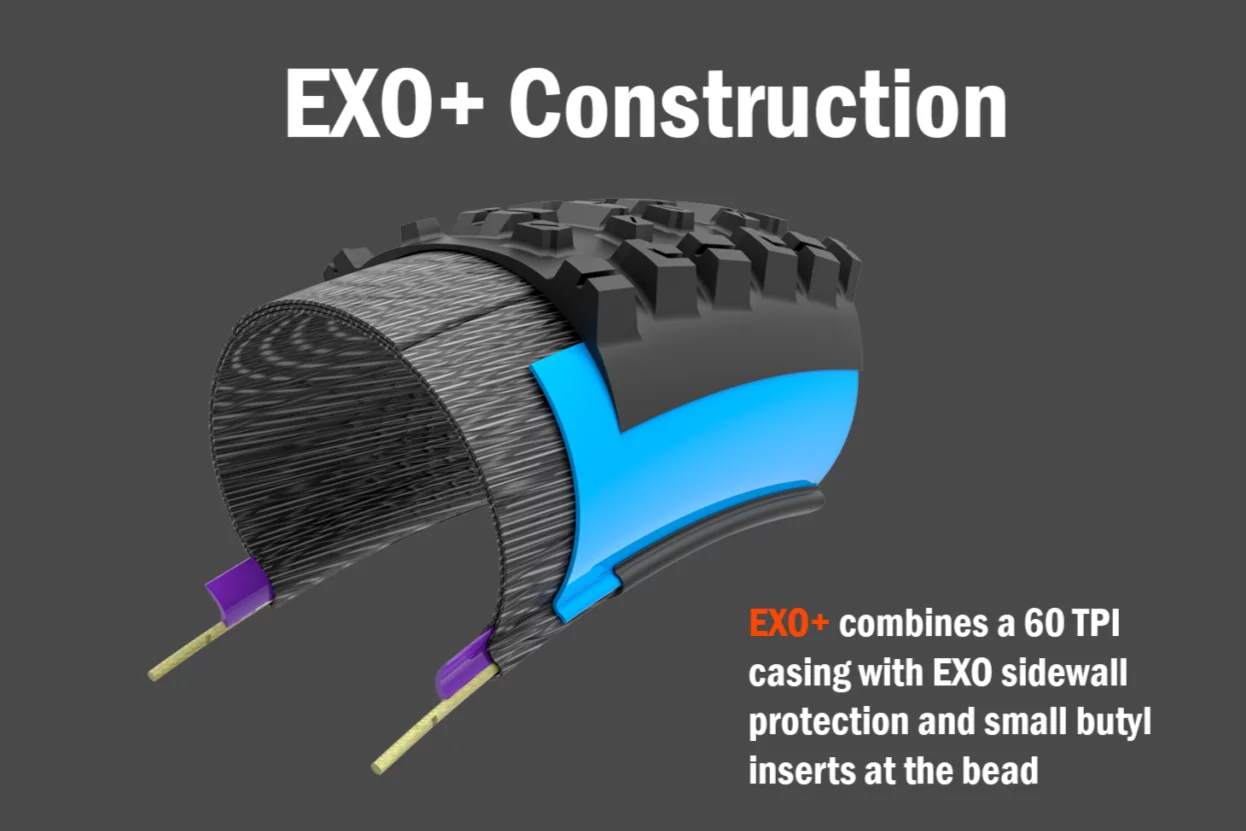 EXO+