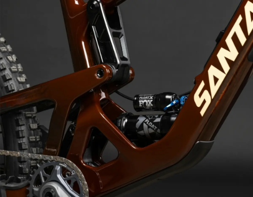 Santa Cruz Bronson