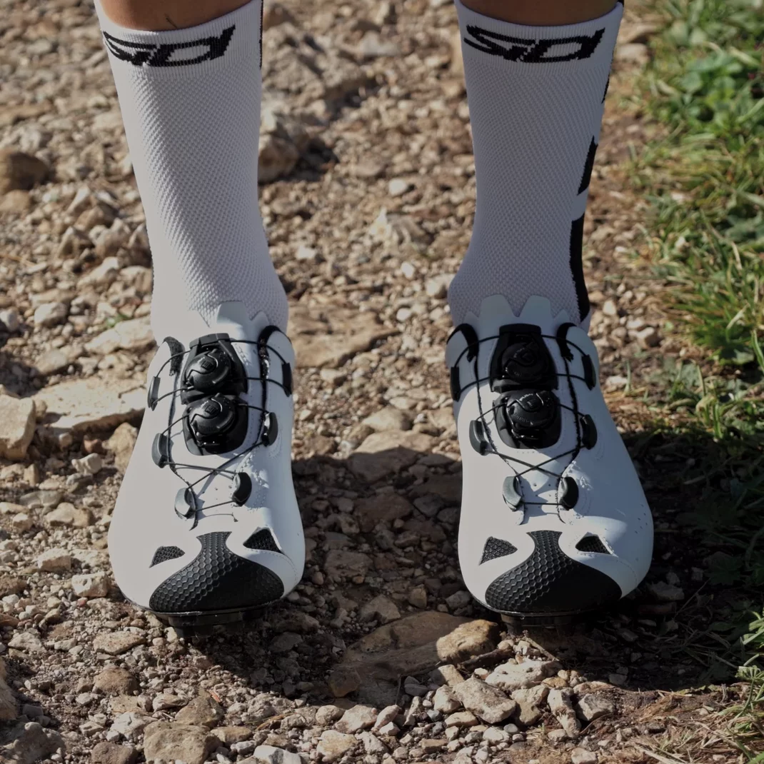 Sidi Tiger