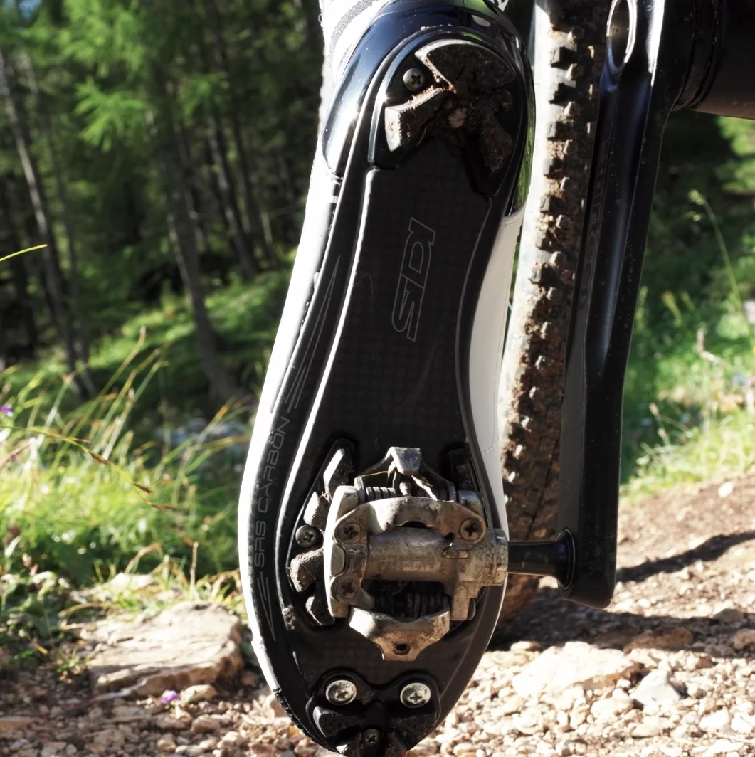 Sidi Tiger