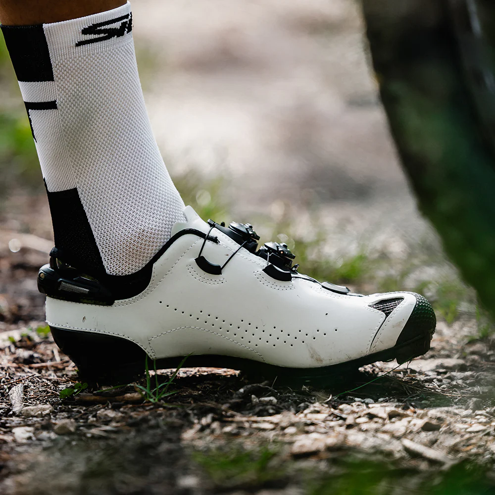 Sidi Tiger